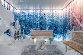 Snow Rooms Thumbnail 5